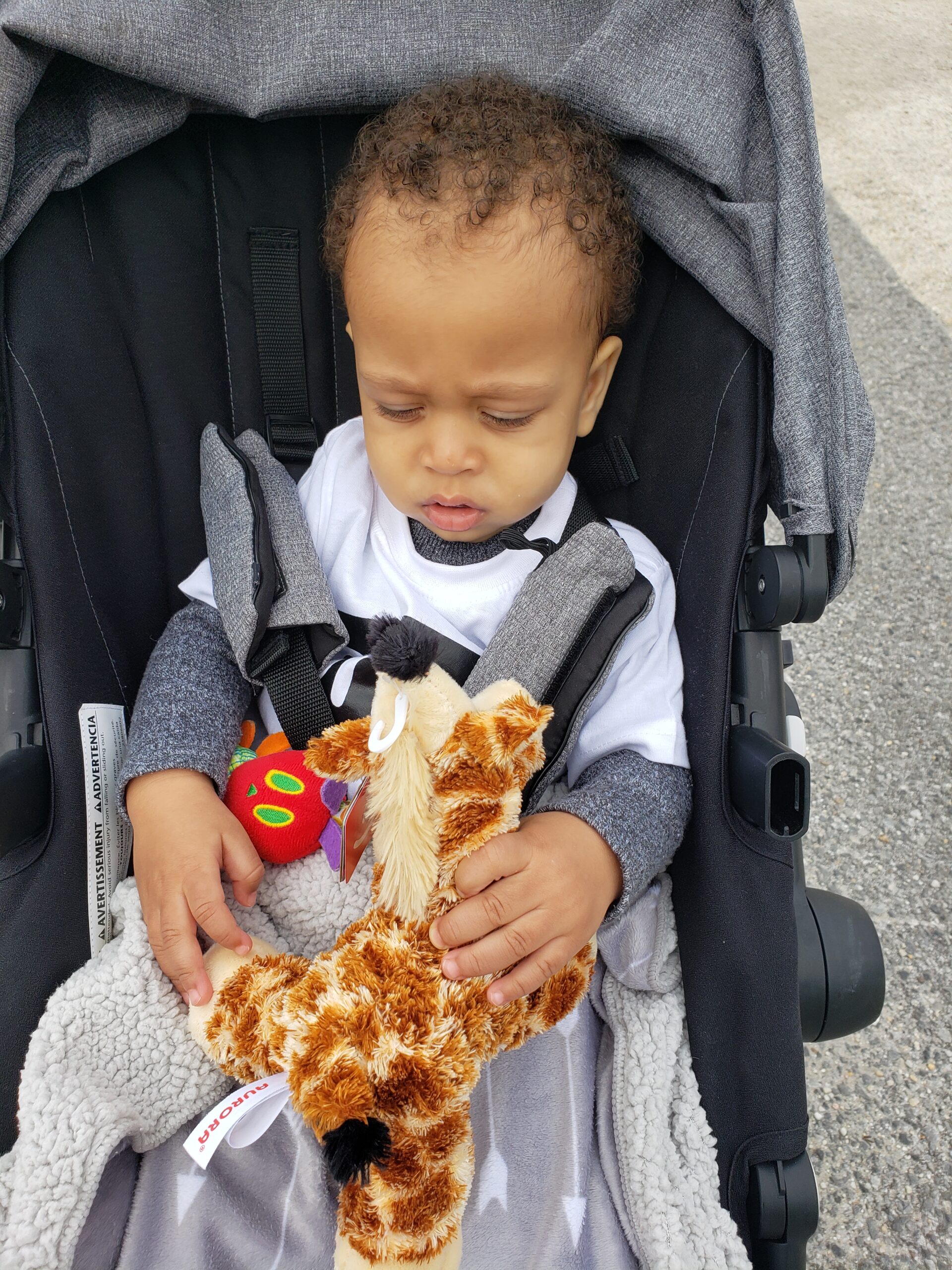 first zoo trip