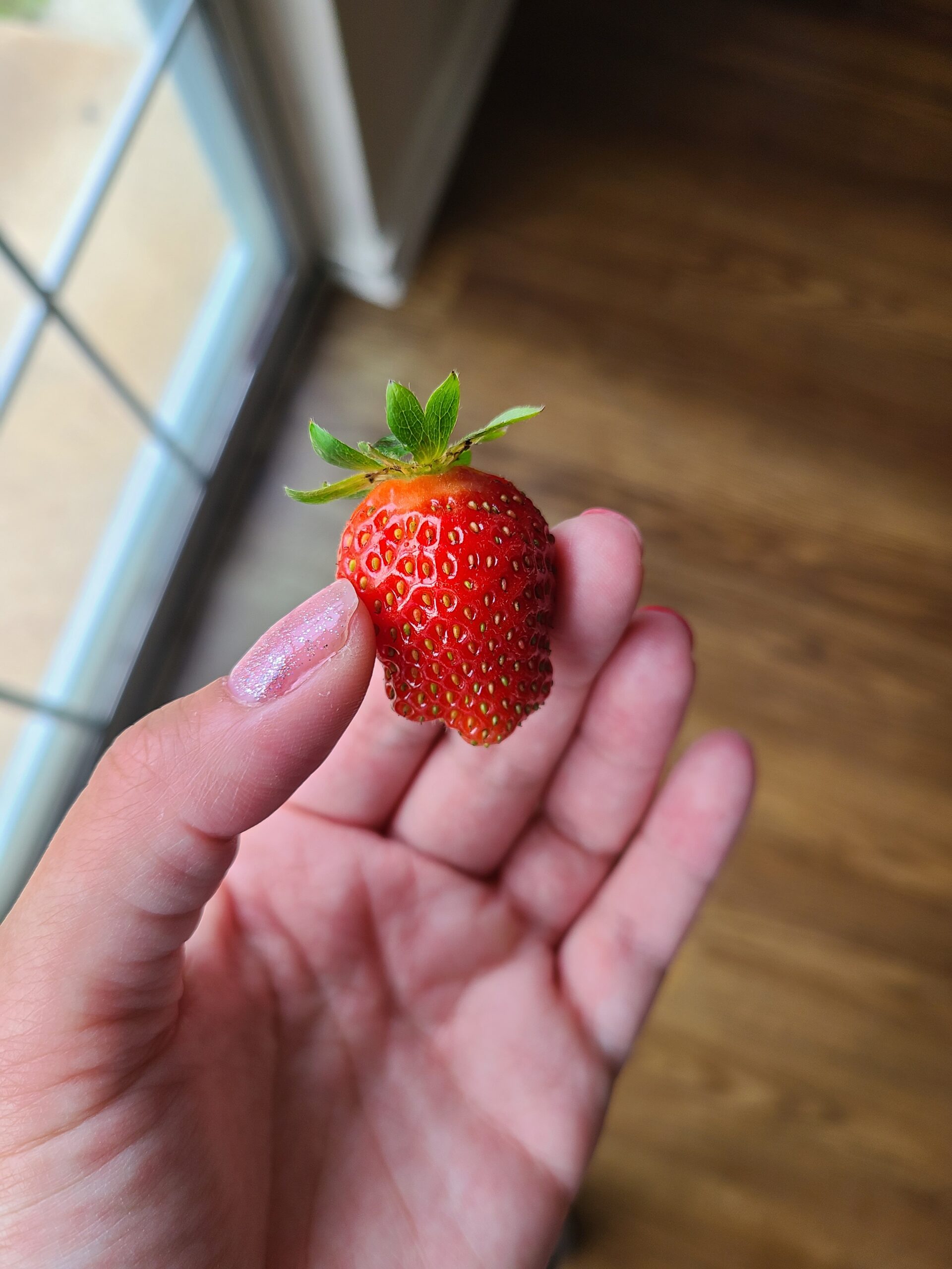 strawberry from our garden